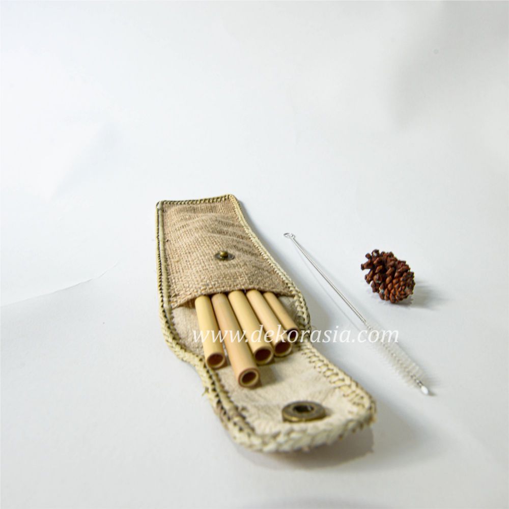 Bamboo Straw Set with Button Special Case